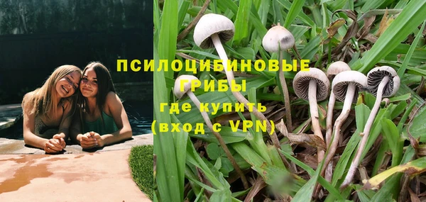 MESCALINE Новозыбков