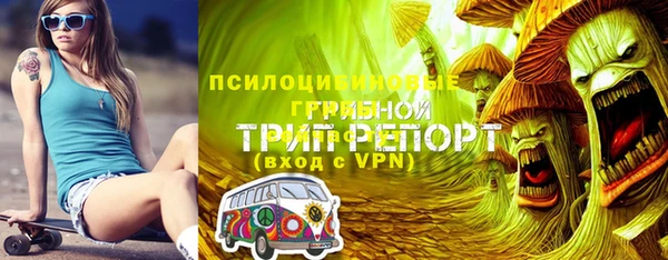 ешки Новокубанск