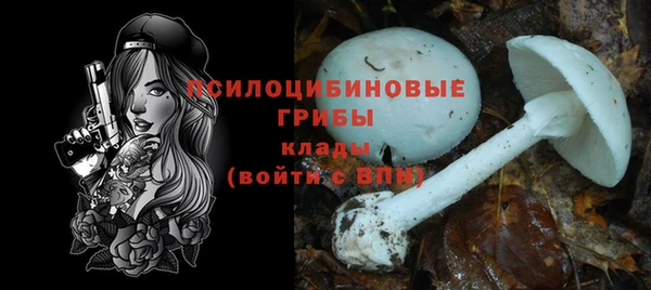 ALPHA PVP Новодвинск