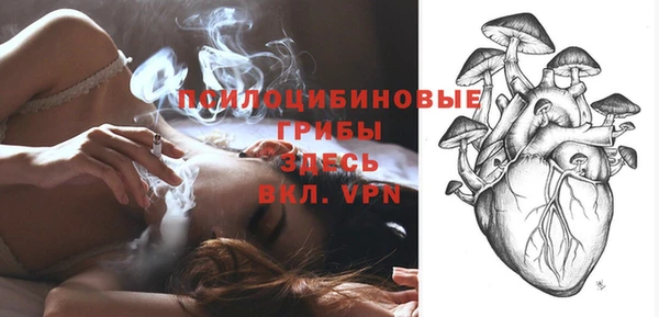 ALPHA PVP Новодвинск